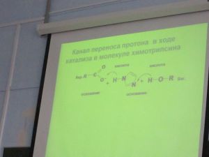 img_0588.jpg