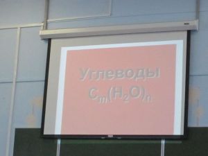 img_0856.jpg