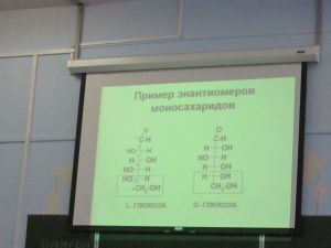 img_0857.jpg