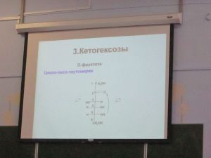 img_0872.jpg
