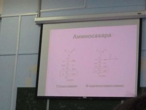 img_0874.jpg