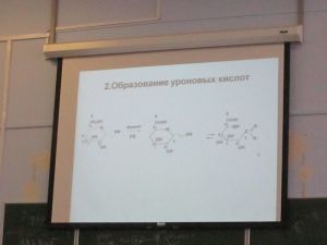 img_0881.jpg