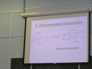 img_0883.jpg