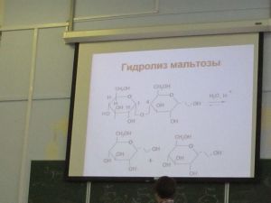 img_0889.jpg