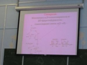 img_0893.jpg