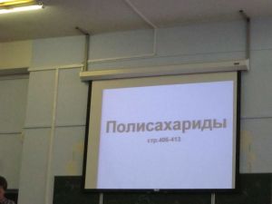 img_0896.jpg