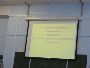 img_0897.jpg