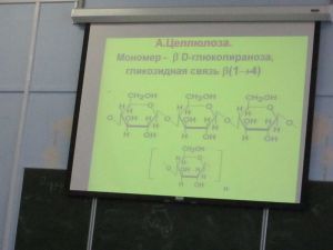 img_0900.jpg