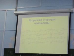 img_0901.jpg