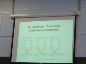 img_0905.jpg