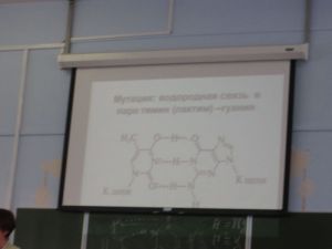 img_1016.jpg