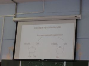 img_1017.jpg