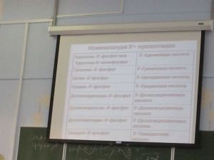 img_1027.jpg