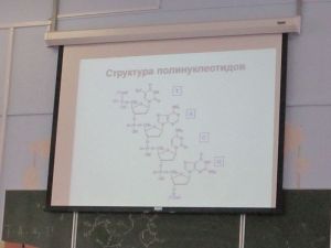 img_1029.jpg
