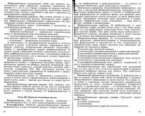 povzun_lektsii_po_chastnoy_patanatomii-page-048.jpg