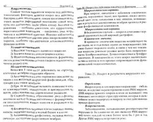 povzun_lektsii_po_obschey_patanatomii-page-032.jpg