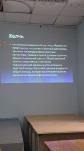 holepatii0157.jpg
