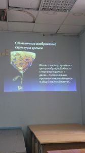 holepatii0158.jpg