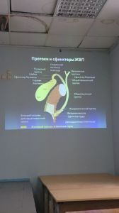 holepatii0159.jpg