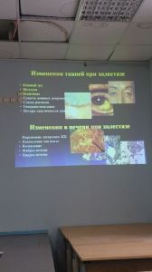 holepatii0165.jpg