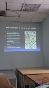 holepatii0173.jpg