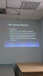 holepatii0180.jpg