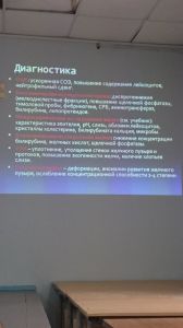 holepatii0190.jpg