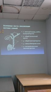 holepatii0216.jpg