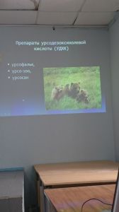 holepatii0229.jpg