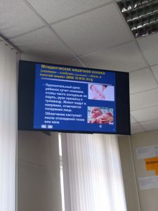 img_20170504_100406167.jpg