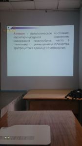 jeldef10067.jpg