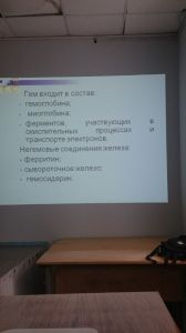 jeldef10076.jpg
