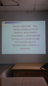jeldef10080.jpg