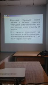 jeldef10081.jpg