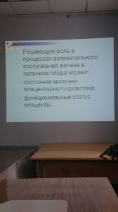 jeldef10083.jpg