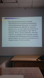 jeldef10084.jpg
