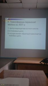 jeldef10087.jpg