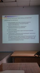 jeldef10094.jpg