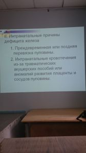 jeldef10095.jpg