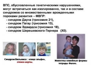 serdech007.jpg