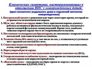 serdech027.jpg