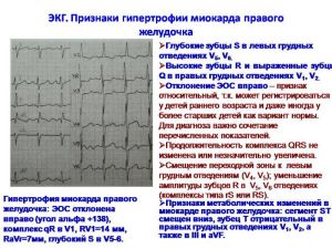 serdech034.jpg