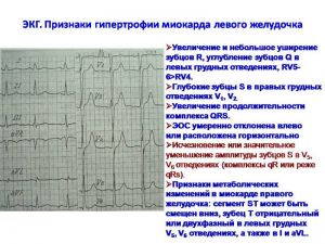 serdech035.jpg