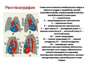 serdech041.jpg