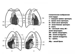 serdech042.jpg