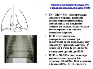 serdech043.jpg