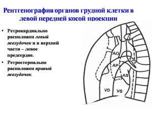 serdech044.jpg
