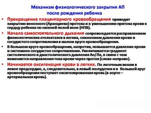 serdech060.jpg