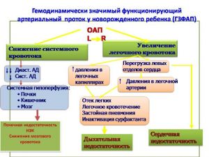 serdech065.jpg
