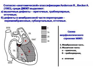 serdech096.jpg
